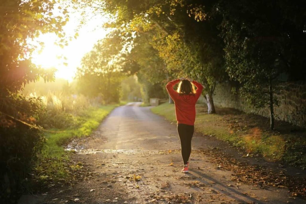 a person walks along a sunlit track in a forest