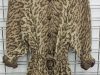 leopard-cardigan