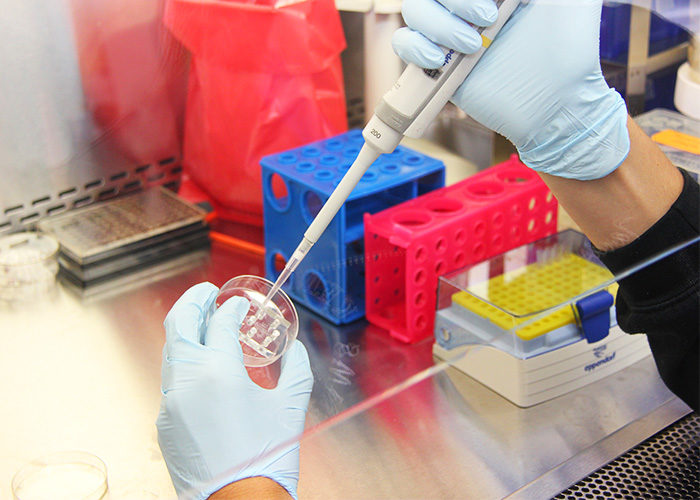 Three Ryerson professors received Early Researcher Awards for their science and engineering research. (Pixabay)