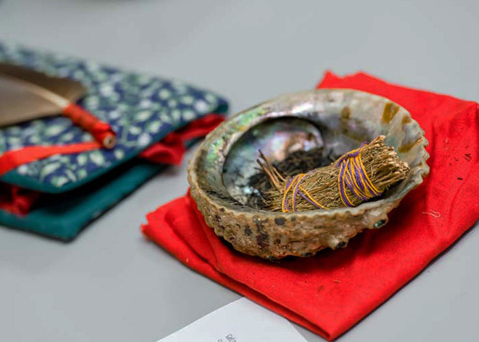 An indigenous sacred plant representing the history and culture of Aboriginal Peoples. (Courtesy Aboriginal Education Council)
